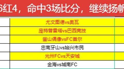 开云体育 113411 1