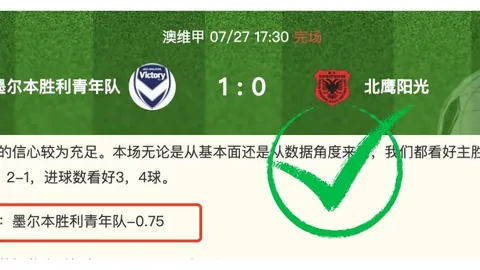 开云体育 115607 6